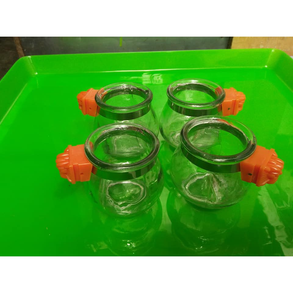 Combo 4 Cóng ăn thủy tinh dành cho tất cả các loại chim