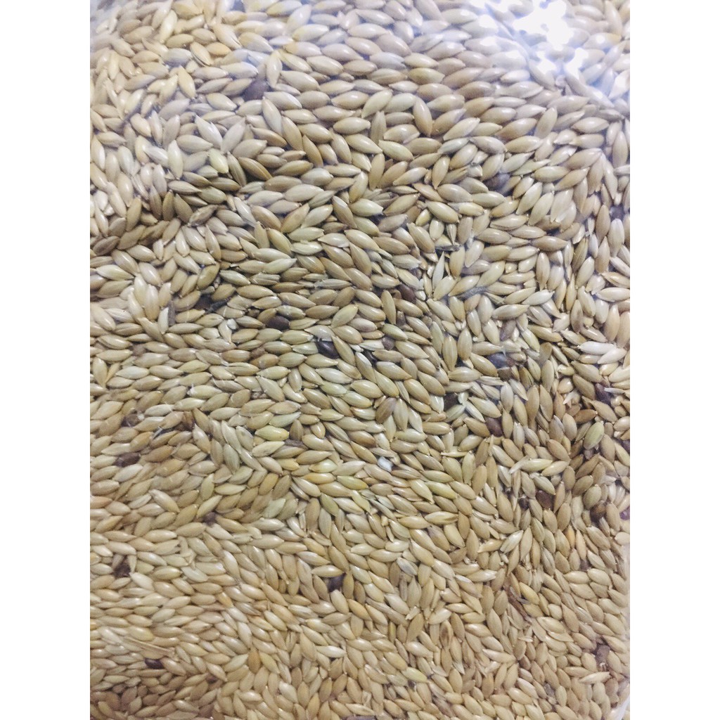 HẠT LÁNG (CANADA) CHO CHIM CẢNH 500gr