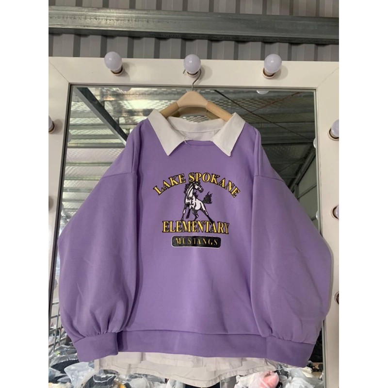 Áo swt con ngựa chất nỉ bông dày dặn HANA238 | BigBuy360 - bigbuy360.vn