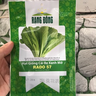 Hạt giống cải bẹ xanh mỡ trồng vườn nhà, cải hăng