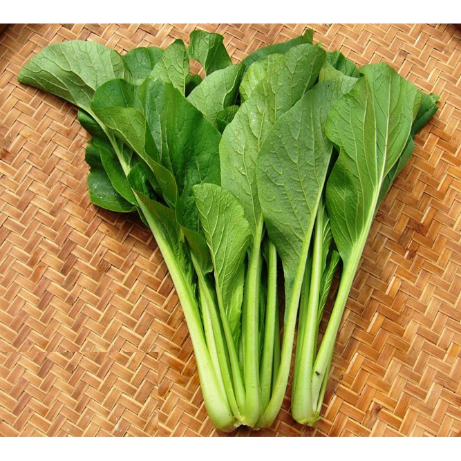 🌱 Cải ngọt cọng xanh gói 40 gram nảy mầm 99%