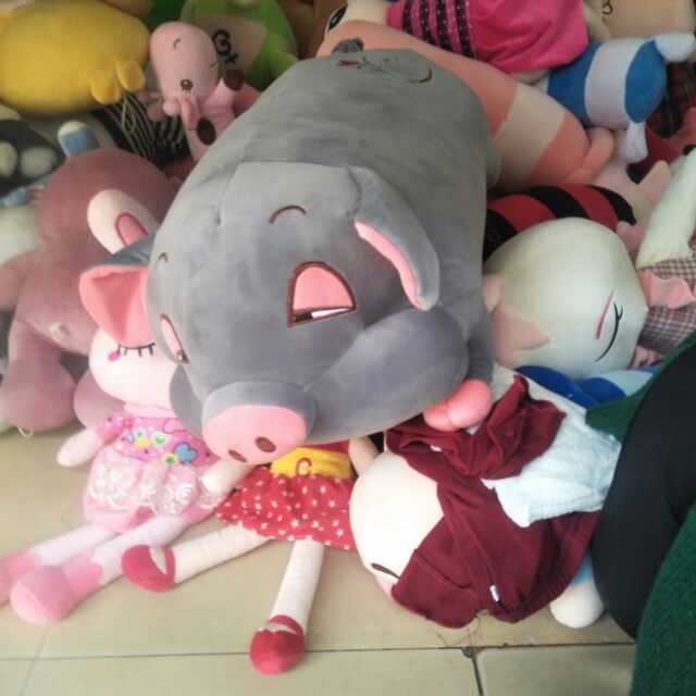 Combo cho khách sỉ