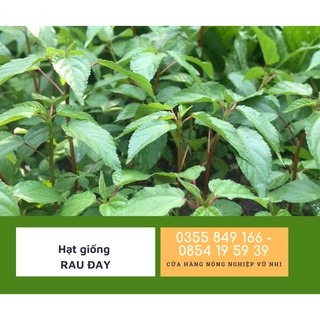 Hạt giống rau đay xanh ( rau đay trắng ) - hatgiong24h (2500 hạt)