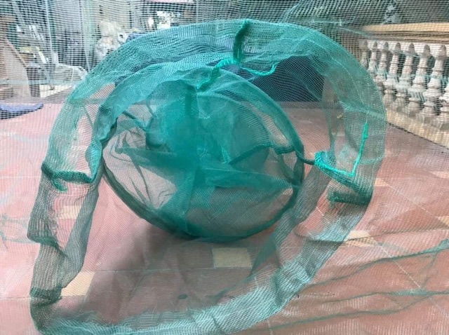 Xăm chặn sông ngòi,ao,suối(Xả hàng giá sốc)