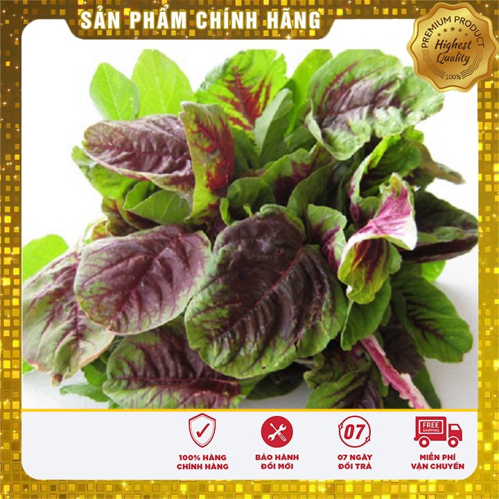 Hạt giống Rau Dền Nhiều Màu ( gói 20 gram)