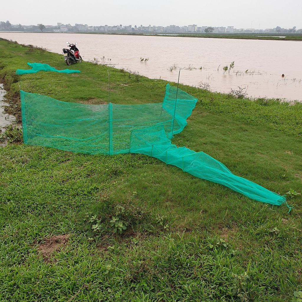 Đăng chặn sông, cống - bắt tôm tép tất cả các loại cá - Dớn bắt cá, cua, lươn - Top1VN