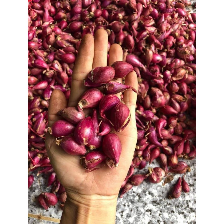 Hành Tím Lý Sơn Quảng Ngãi 0.5KG