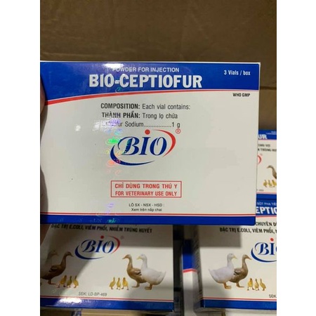 [ ĐT]  Bio Ceptiofur 100ml Ecoli, tiêu chảy trên gà, vịt