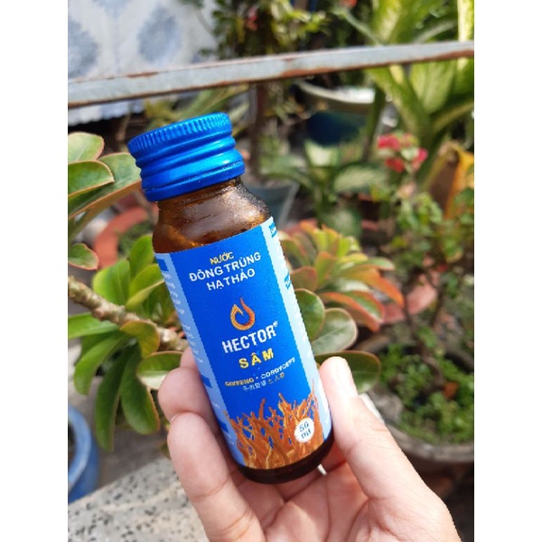 Đông trùng hạ thảo Hector Sâm
