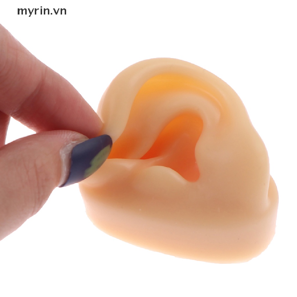 1 Mô Hình Silicone Dùng Luyện Tập Xỏ Khuyên Tai