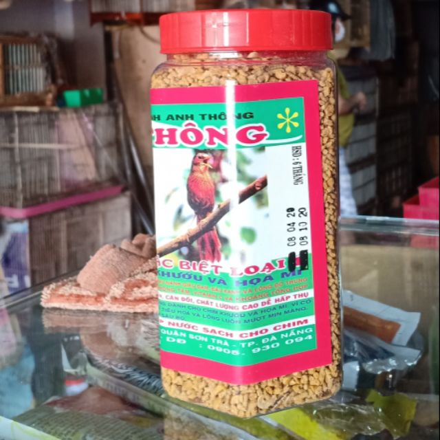 Cám anh thông dành cho khướu, hoạ mi