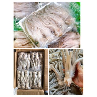 ĐẦU MỰC ỐNG khay 1kg( giao hỏa tốc)