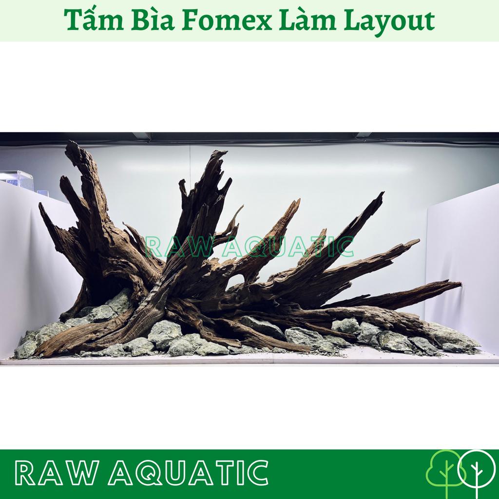 Tấm Bìa Fomex Dày 10mm Làm Đế Dán Layout Hồ Thủy Sinh