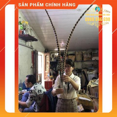 Lông Trĩ Tôn Ngộ Không 160cm