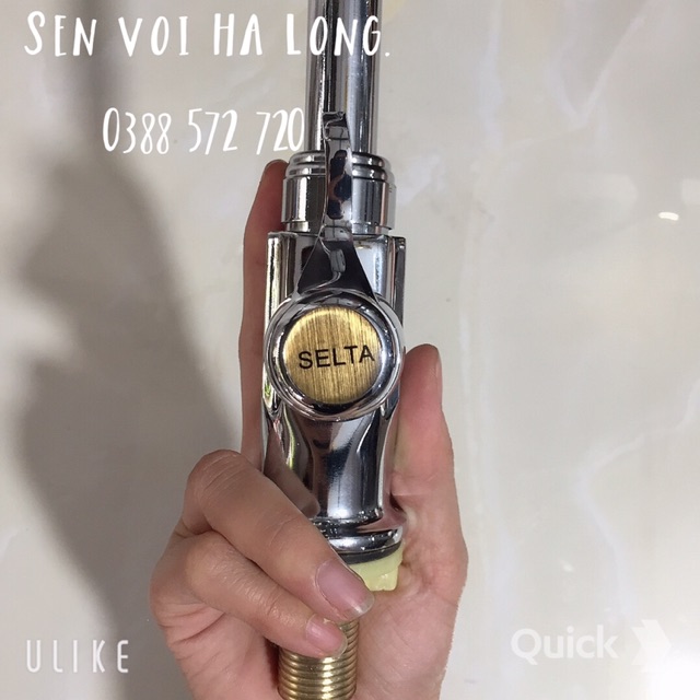 VÒI RỬA BÁT LẠNH SELTA