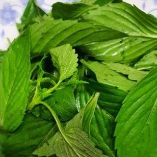 GỎI SỨA XOÀI XANH