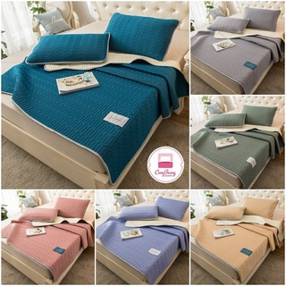 Chiếu điều hoà cao su non latex tặng kèm 2 vỏ gối