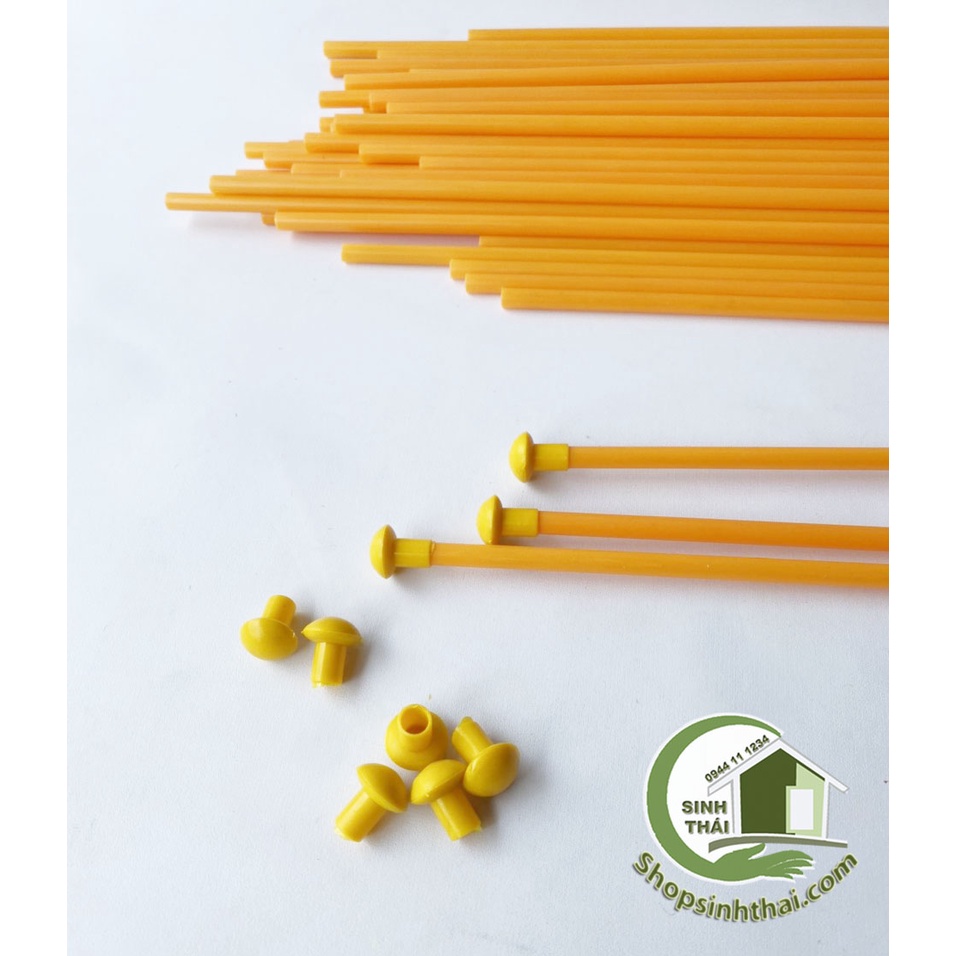 Que nhựa, cây nhựa làm cán cờ, làm cây chống xung quanh chậu cây, dài 60cm, có nắp bịt hai đầu