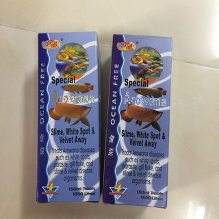 🐠 CÁ RỒNG CHAI SỐ 4 OCEAN FREE