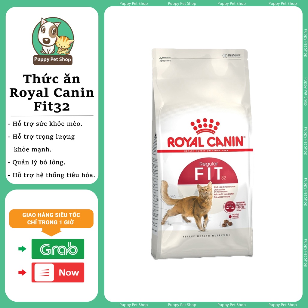 Thức ăn hạt cho mèo trưởng thành - Royal Canin Fit 32 10kg