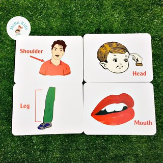 Flashcard Glenn Doman - Bộ Phận Cơ Thể