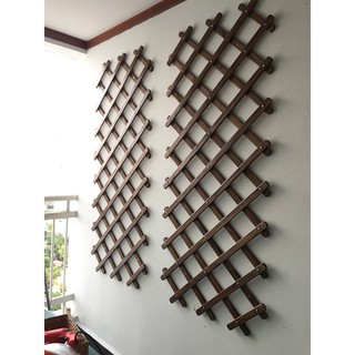 Lưới giàn cây leo nhiều xếp gọn co giãn cao đến 2m2