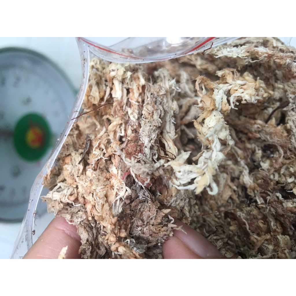 Dớn trắng Chile  chất trồng hoa lan 100gr