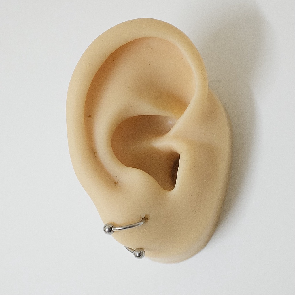 [1 Chiếc] Khuyên Tai Chữ S Xoắn 2 Đầu Bi Tròn Màu Bạc Titan Không Đen Không Gỉ Sét Không Ngứa julies box 66