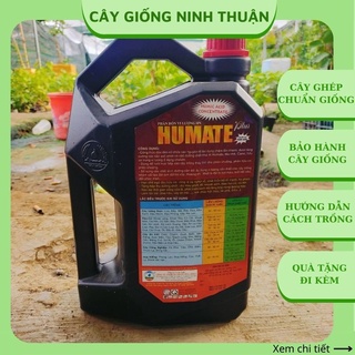 Phân bón vi lượng Humate Humic hữu cơ phục hồi cây ra rễ mạnh PB14