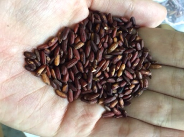 Trà gạo lứt rang (túi 1kg) | BigBuy360 - bigbuy360.vn