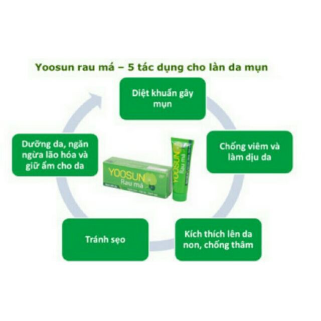 (MUA 4 TẶNG 1) Combo 4 tuýp kem dịu mẩn ngứa, mát da, liền sẹo YOOSUN RAU MÁ 25g-Tặng gel rửa tay sạch khuẩn 50ml