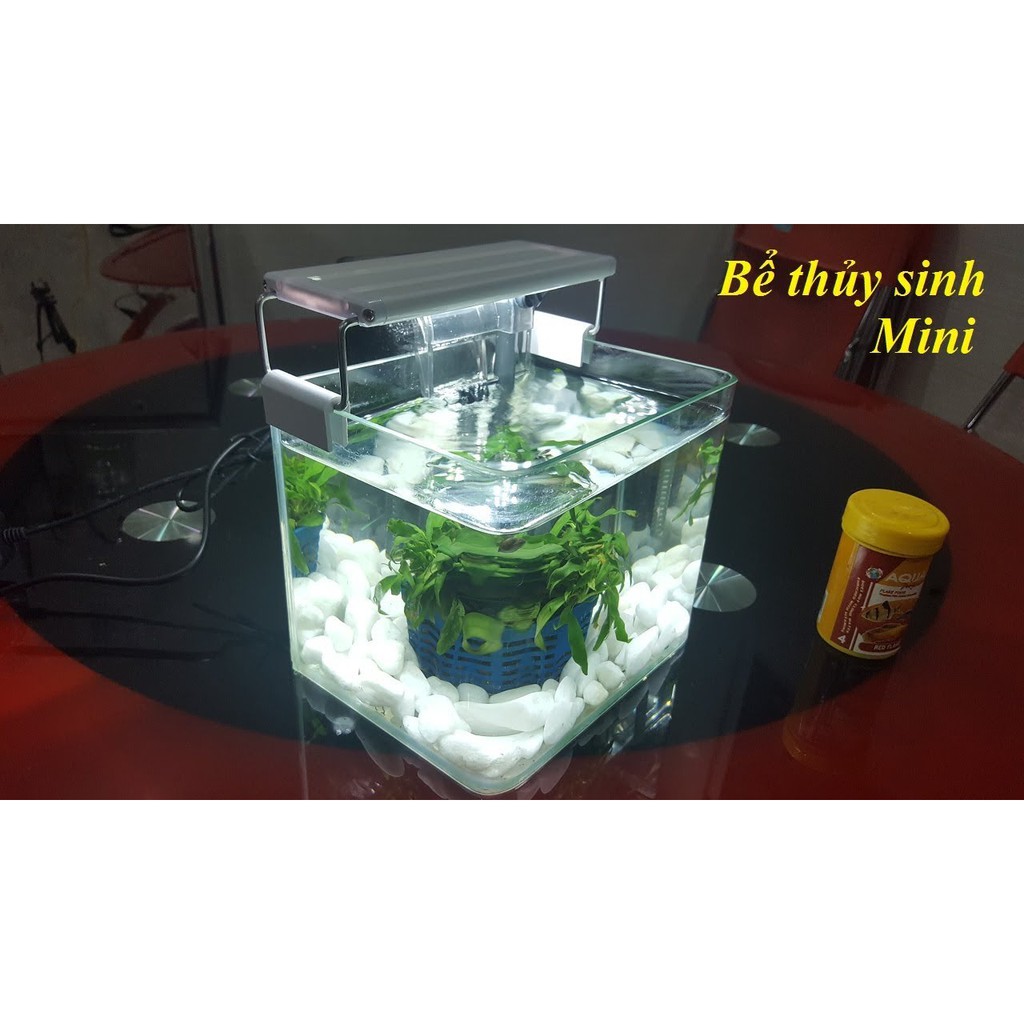 ĐÁ TRẮNG TRANG TRÍ BỂ CÁ, BỂ THỦY SINH, GỐC CÂY CẢNH, SÂN VƯỜN...- SET 5KG