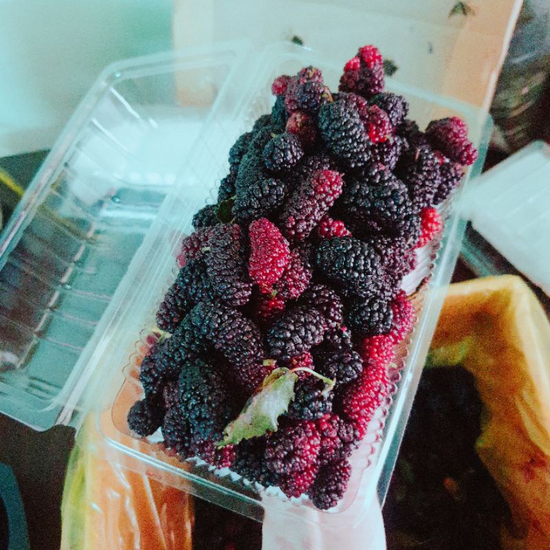 Dâu tằm tươi hộp 3kg Lâm Đồng trái to múp chín mộng đẹp