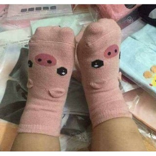 Combo 20 đôi Tất Poli Kids