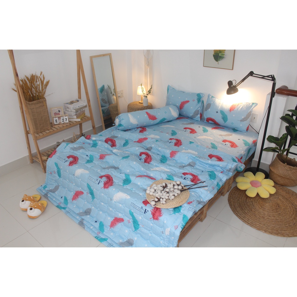 Bộ drap 4 món Cotton - Mẫu Lông Vũ Nền Màu Xanh