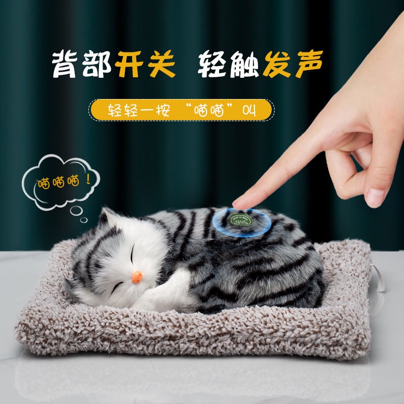 Quà Tặng Sinh Nhật Nhỏ Nhắn Tùy Chỉnh Có Thể Tùy Chỉnh Quà Tặng Cho Bé Gái 18 Tuổi/Bạn Gái/Trường Học