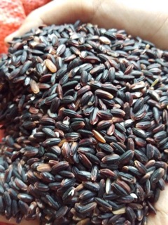 Nếp cẩm Điện Biên bịch 1kg