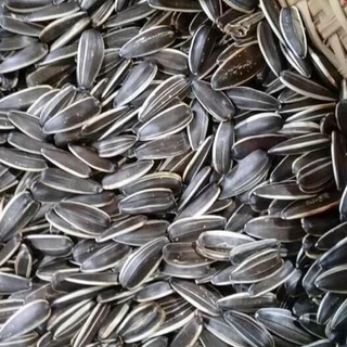 500g hạt hướng dương rang mộc nguyên vị