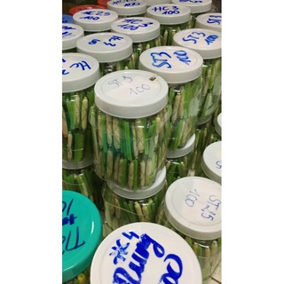 10 CÁI Phao tóm sẵn câu Rô phi