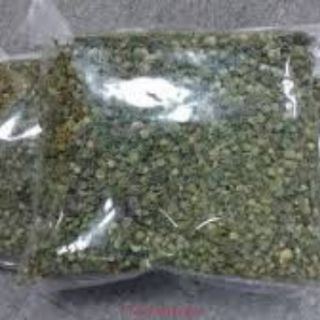 Nụ hoa bao tử Tam thất