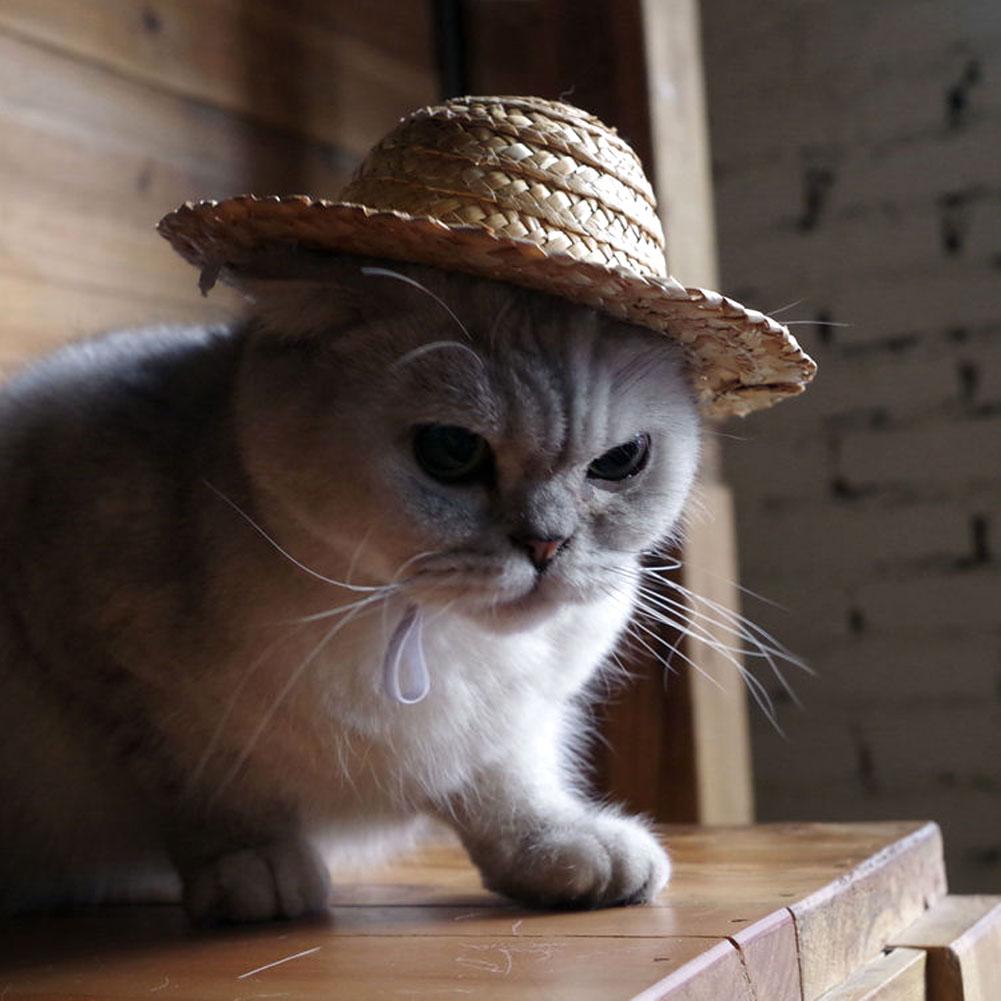 🐶SD Đồ dùng cho thú cưng Mini Pet Dogs Mũ rơm Mèo Mũ Mặt trời Tiệc bãi biển Mũ rơm Mũ rơm Mũ kiểu Hawaii