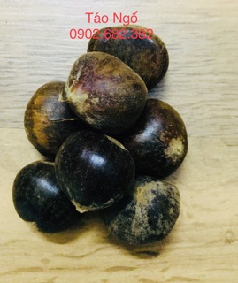 Hạt dẻ rừng (combo 5kg)