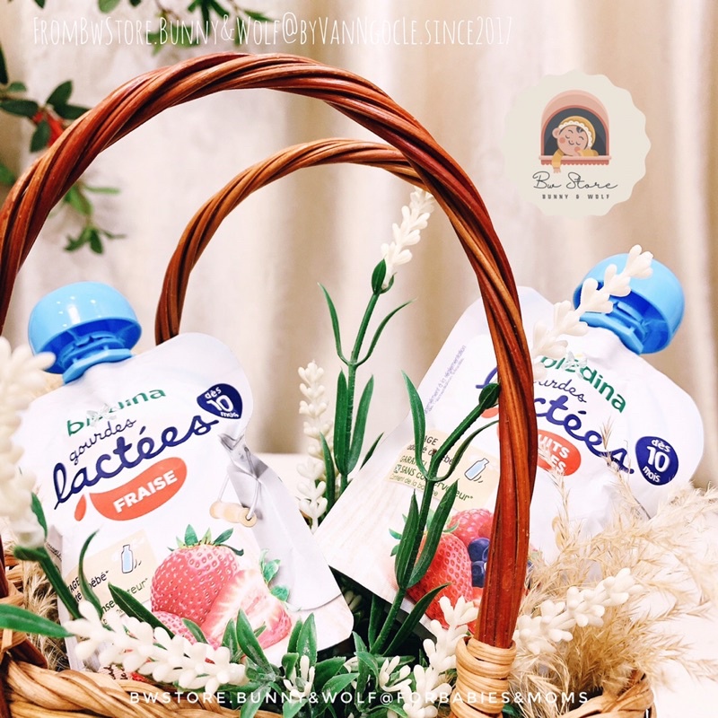 Sữa Chua Hoa Quả Bledina Gourdes Lactees Pháp cho bé từ 10m+ - Túi 85g