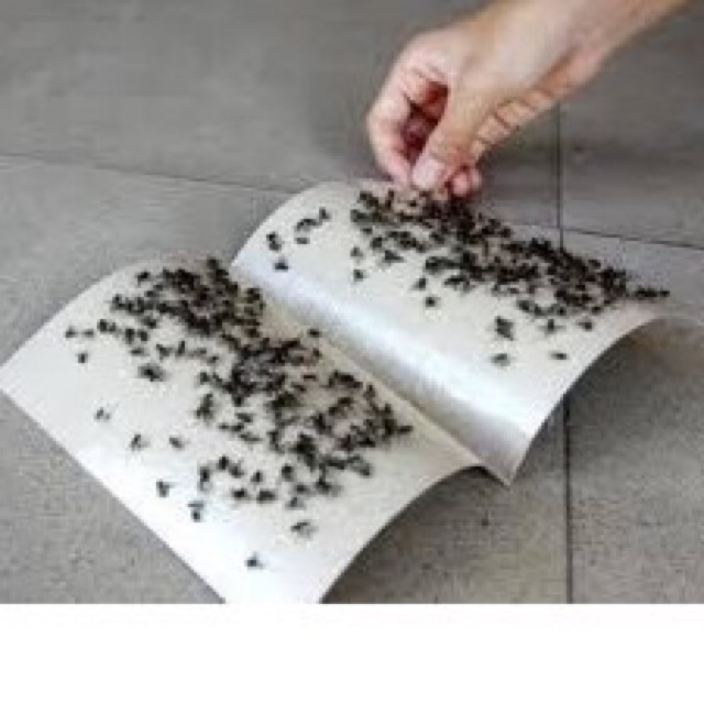 Keo dính ruồi nhặng bẫy ruồi miếng dán ruồi siêu dính loại 1 hiệu quả an toàn không độc hại Misyhome