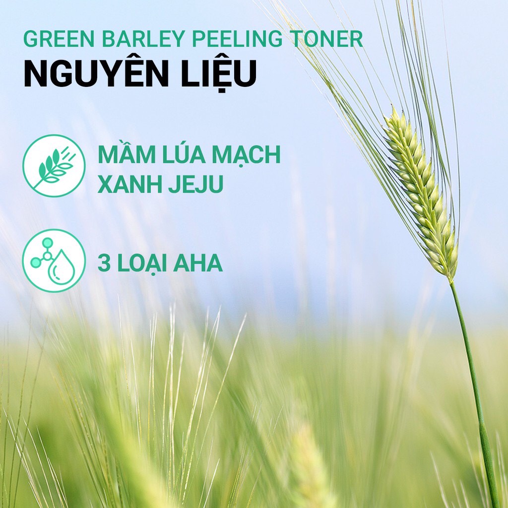 Nước Hoa Hồng tẩy tế bào chết từ lúa mạch xanh innisfree Green Barley Peeling Toner 250ml