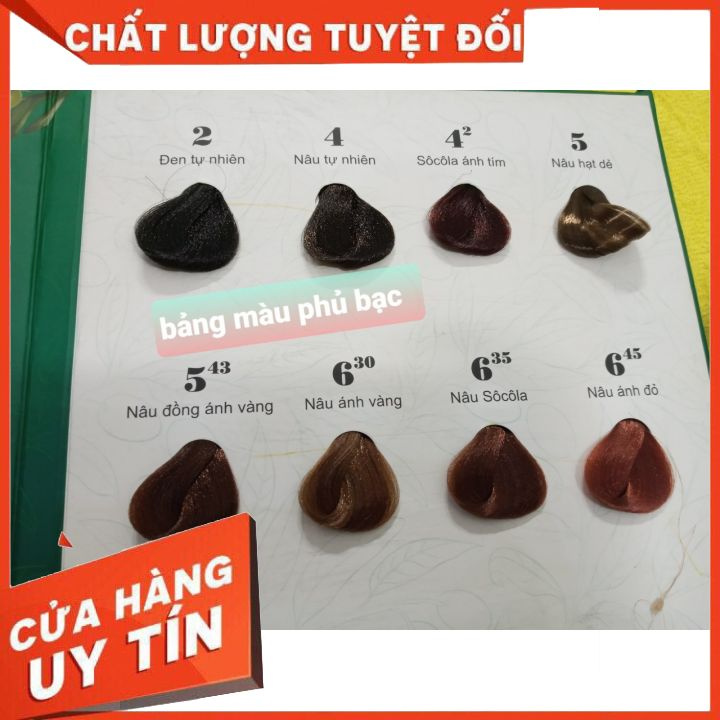 nhuộm phủ bạc COLLgien A+  lên màu thời trang chuẩn màu không khô xơ trẻ ngọn và rát da đầu an toàn cho mọi loại da