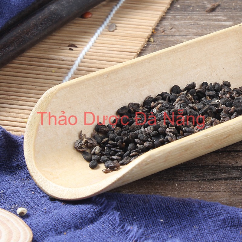 1 Kg Phá Cố Chỉ (Bổ Cốt Chỉ) thơm,sạch.