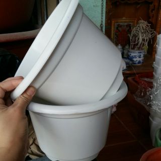 20 cái đồ trồng hoa đường kính 24cm x16cm đẹp, chất.