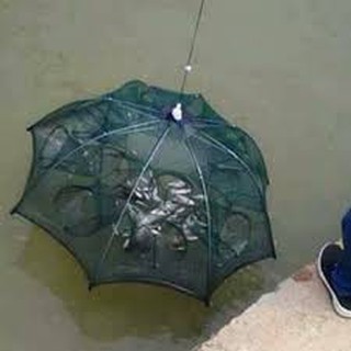 Lưới bát quái 8 cửa đánh tôm cá tặng 1 túi mồi như hình
