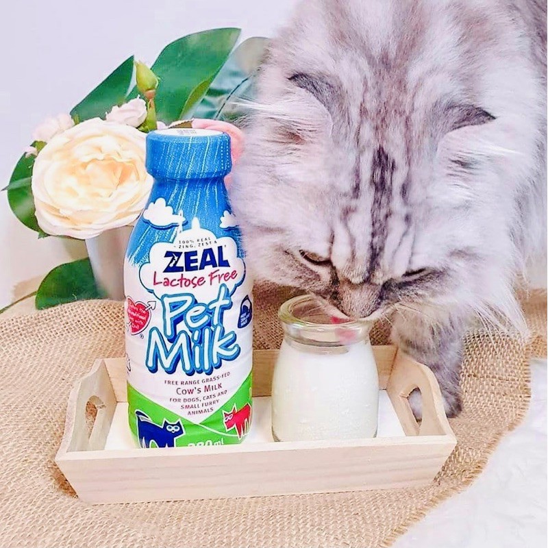 Sữa Zeal Petmilk Lactose-free 380ml cho chó mèo